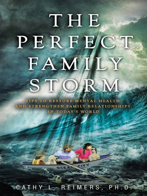 cover image of The Perfect Family Storm